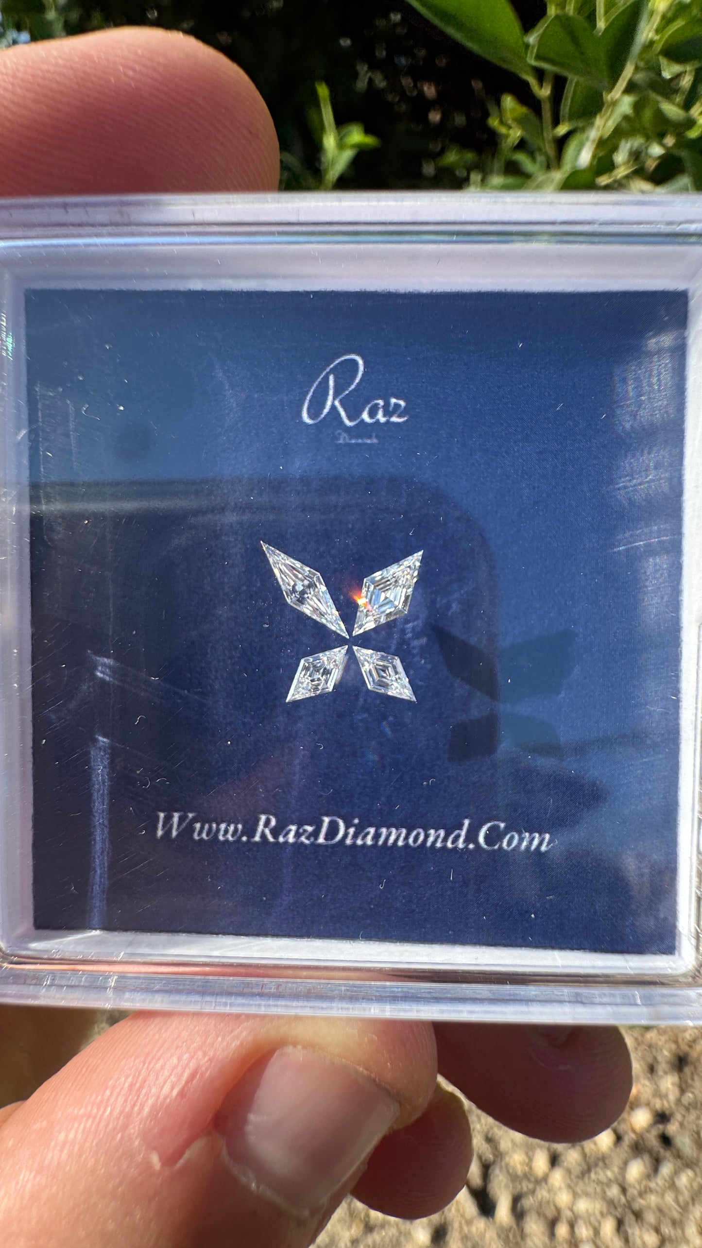 4St=0.51Ct Diamond Set Butterfly/Lozenge Cut Loose Natural Diamonds D-F-VVS-VS
